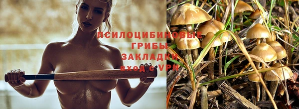 винт Белокуриха